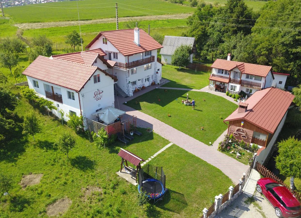 Pensiunea SilvAnka Vilcele  Exterior foto