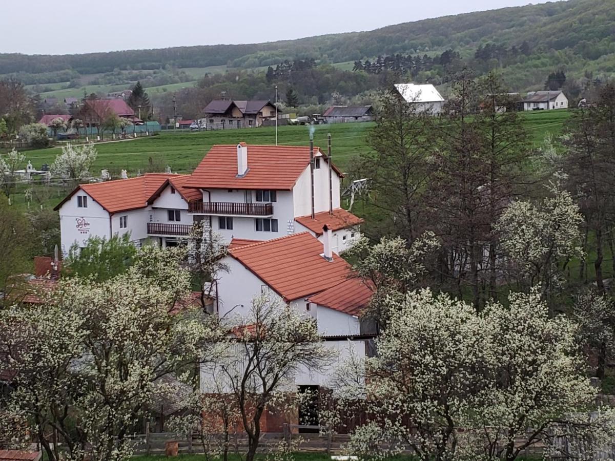 Pensiunea SilvAnka Vilcele  Exterior foto