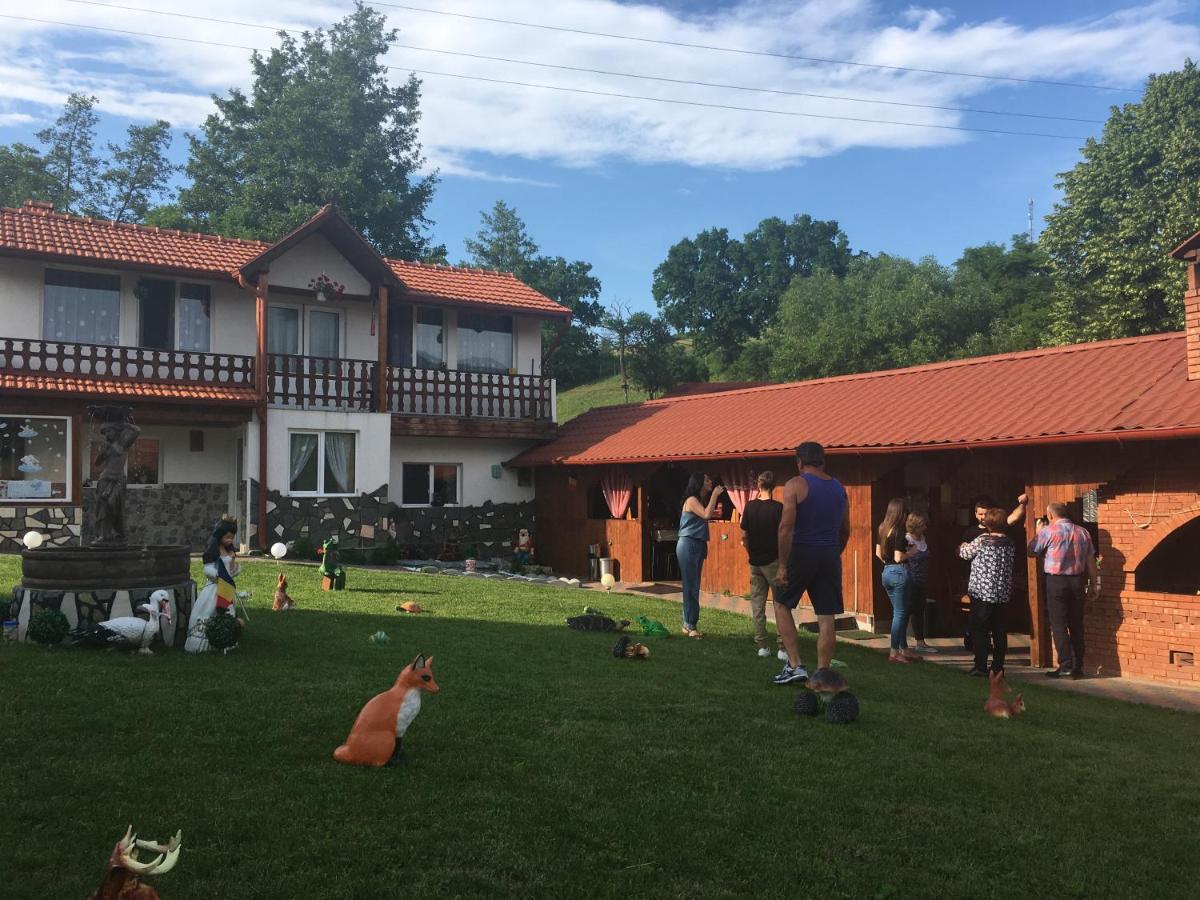 Pensiunea SilvAnka Vilcele  Exterior foto