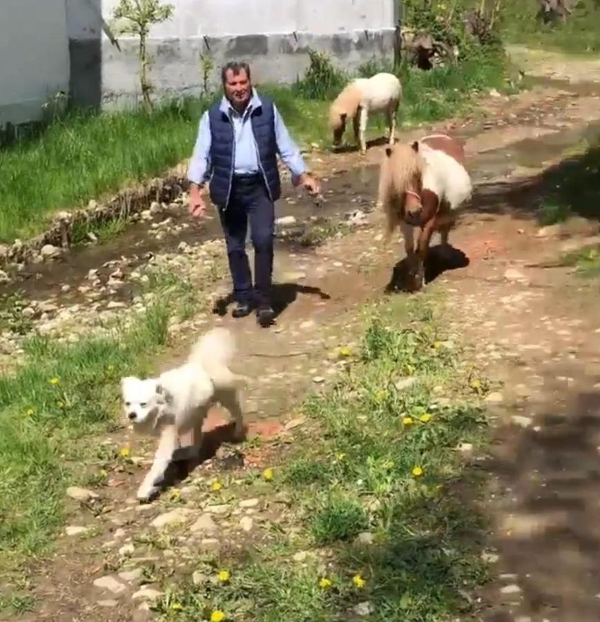 Pensiunea SilvAnka Vilcele  Exterior foto