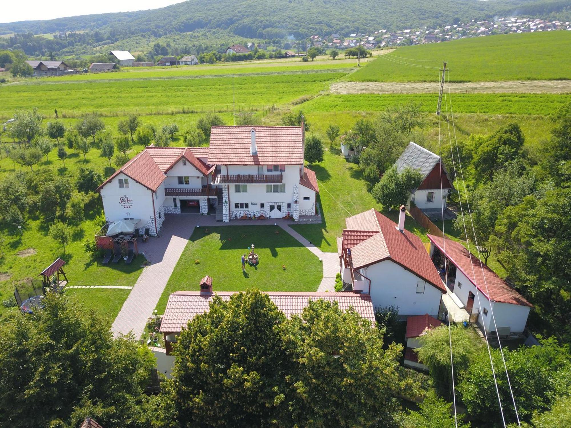 Pensiunea SilvAnka Vilcele  Exterior foto