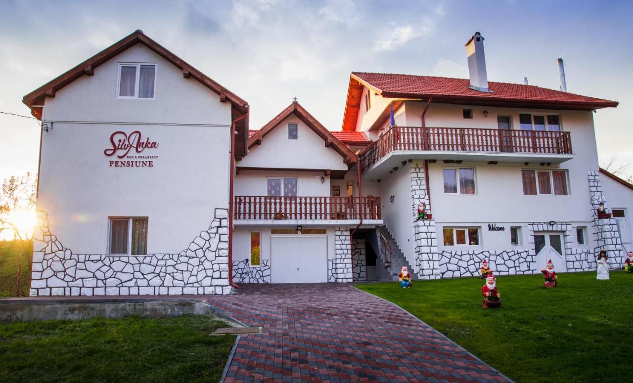 Pensiunea SilvAnka Vilcele  Exterior foto