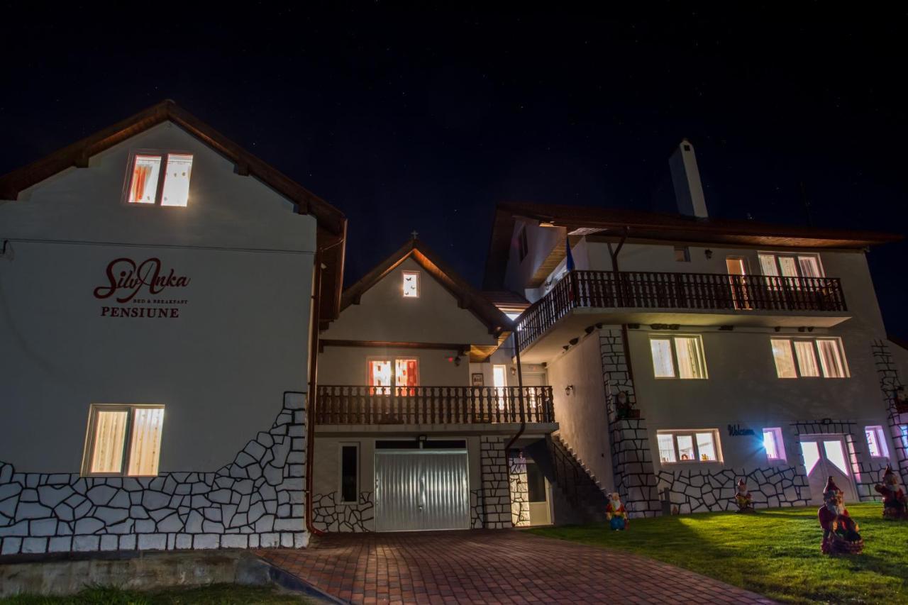 Pensiunea SilvAnka Vilcele  Exterior foto